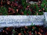 image of grave number 449706